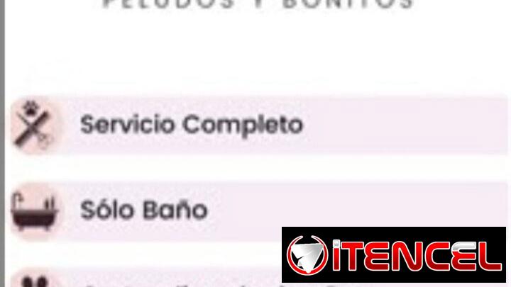 Peluquería canina domicilio disponible para todas las razas