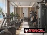 Diseñamos e instalamos tu gym equipos marcas reconocidas New y de segunda mano