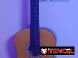 Vendo guitarra