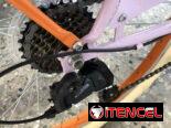 Bicicleta de paseo 26