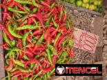 CHILE SUPER PICANTE