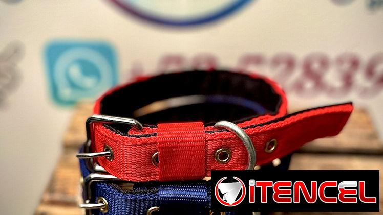Collar de paseo reforzado