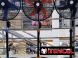 Ventiladores de pared y pedestal