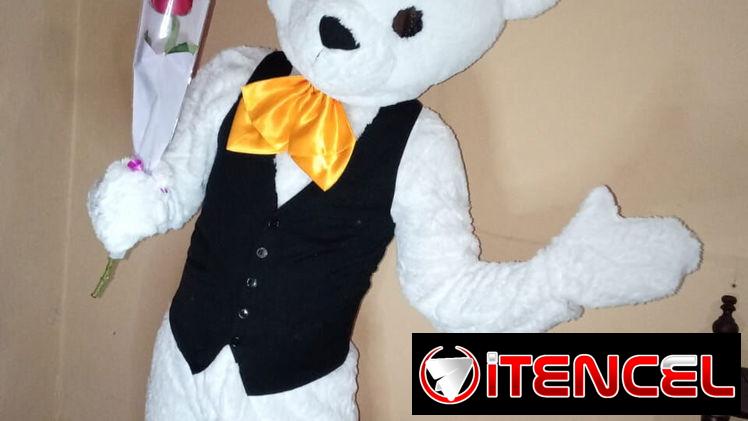Ositos Sorpresa con regalos