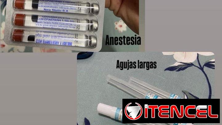 Estomatología