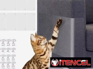 de675558fa04587cb6386142e9052d5ad3925db0a3b5d74daadb6e8eed52de7c