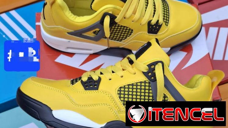Zapatos Jordan retro 4