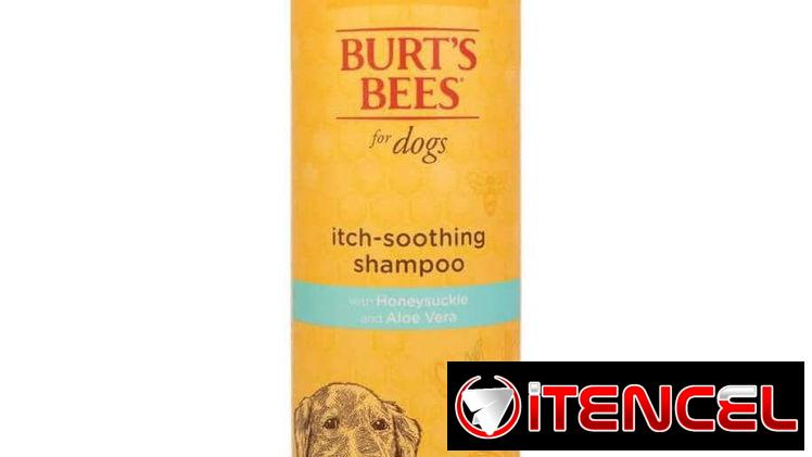 Shampoo para perros y gatos