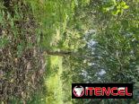 En venta finca en jovellanos con casa de mampostería
