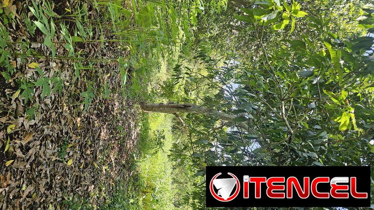 En venta finca en jovellanos con casa de mampostería