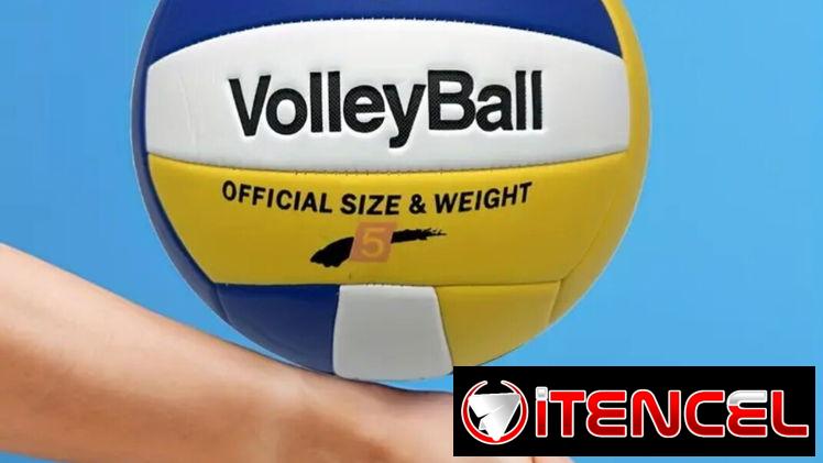 Balón de voleibol pro / No. 5