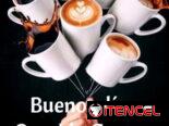 Busco empleo