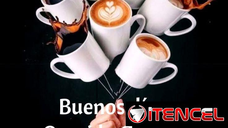 Busco empleo