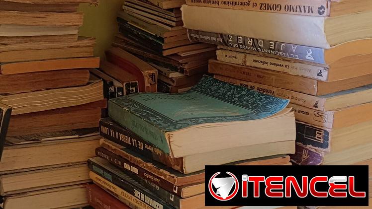 Vendo varios libros, de arte, literatura, ajedrez, etc.