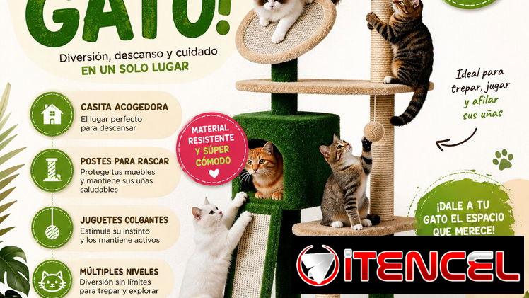RASCADORES PARA GATOS 🐱  DOG&CAT