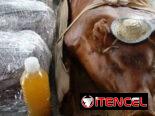 Comidas criollas a domicilio