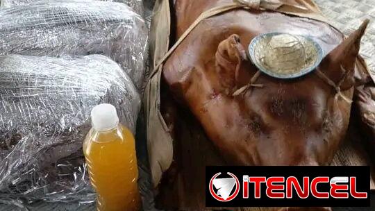 Comidas criollas a domicilio