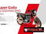 Moto de gasolina