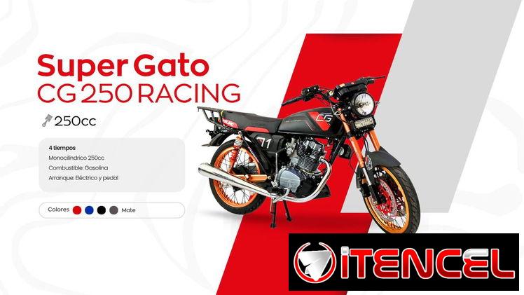 Moto de gasolina