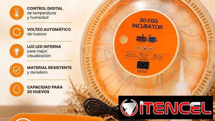 Incubadora para huevos