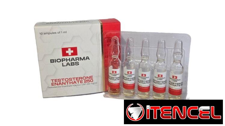Testosterona de Enanthate 250mg/ml 10 ámpulas de 1ml Biopharma Labs
