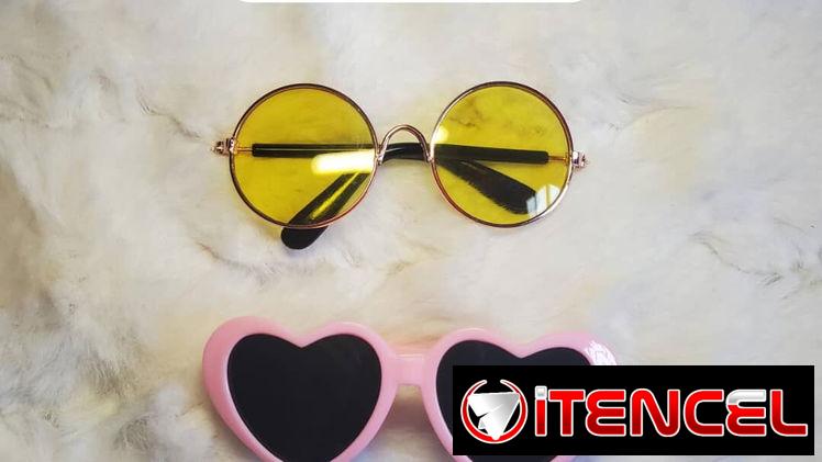 Gafas para perros y gatos