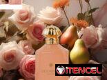 Perfumes Originales. Todos los perfumes a tu disposición.  Diseñador ,Árabe y Nicho. En Stock y por encargos.