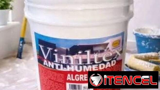 Pintura