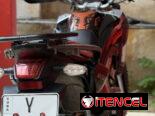 Ava deer 250