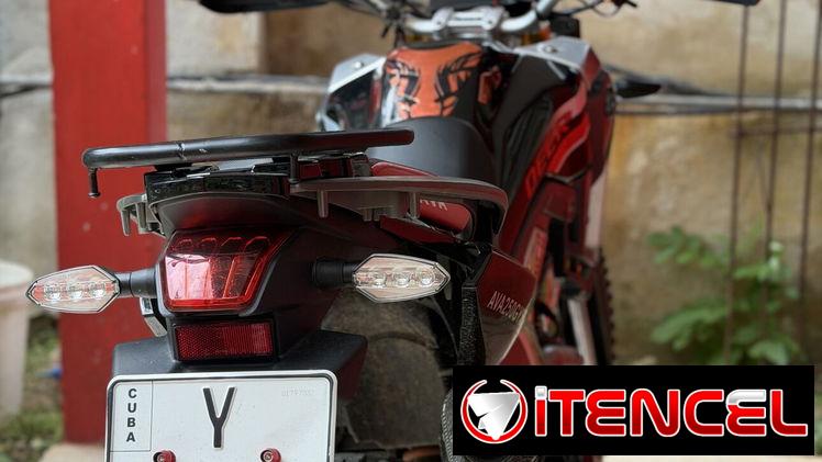 Ava deer 250