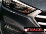 Detallado automotriz profesional