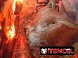 Lechón Asado con Guarniciones para Celebracioness Expréss