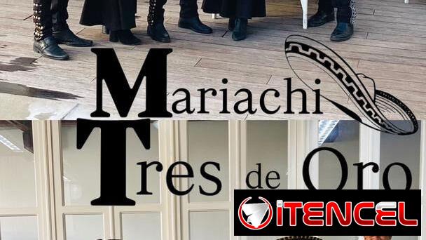 Mariachis para sus fiestas