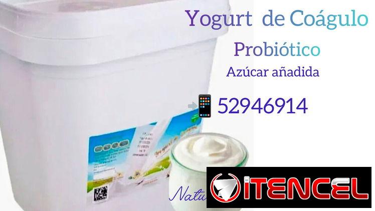 Yogurt Probiótico 4 lts , Coágulado de leche de vaca 🐮!