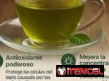 Té verde 🌿caja de 25 bolsitas Mensajería incluida en Plaza