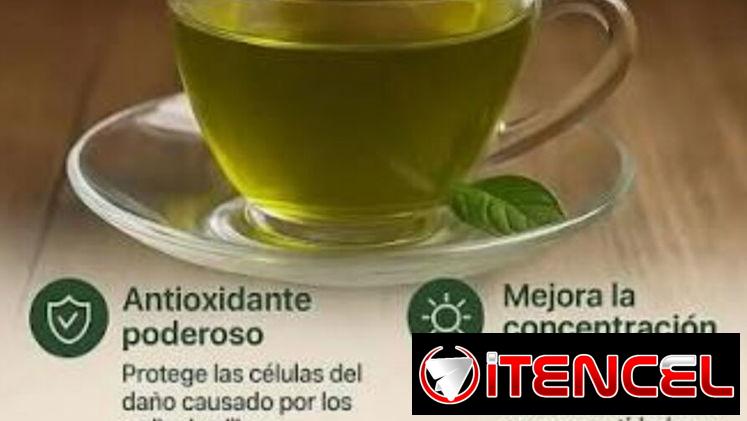 Té verde 🌿caja de 25 bolsitas Mensajería incluida en Plaza