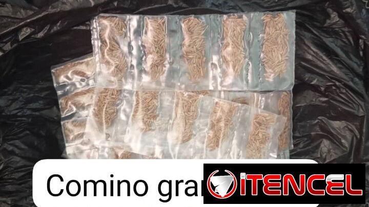 Comino en grano de tirita