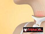Masajeador facial portátil (Negro) | Con garantía | videojuegoshabana.com
