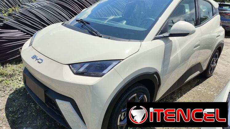 Vendo o negocio byd seagull eléctrico, 2026 con 430 km autonomía