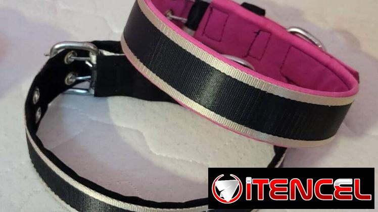 Collar de.Paseo