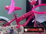 Bicicletas para niñas y niños. Medida 12