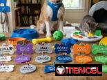 Accesorios para perros y gatos