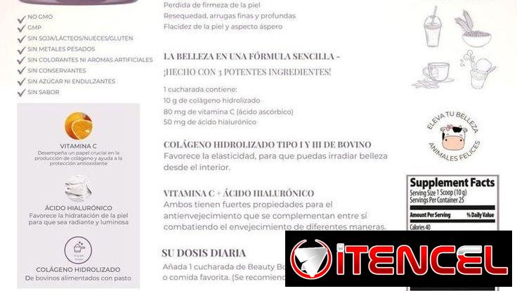 Colágeno Hidrolizado en polvo con Ácido Hialurónico, Proteínas, Vitamina C y Sodio