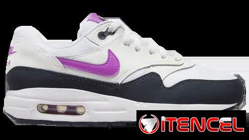 Nike ,varios modelos .F1 ,Dunk,Aire Force Jordan 1 ,2 ..