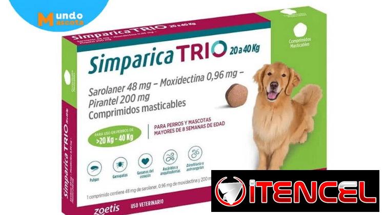Simpárica Trío de 20 a 40 kg
