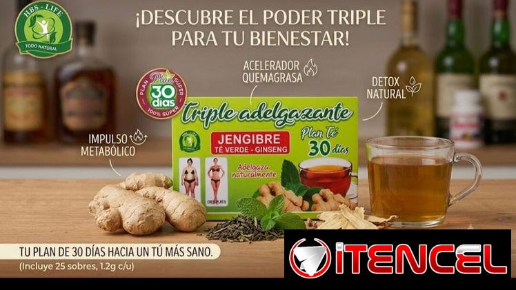 Té de Gengibre y GINSENG adelgazante