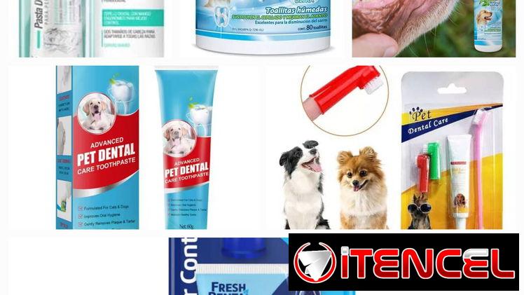 Set Dental para Perros y Gatos
