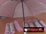 Sombrillas para estas lluvias