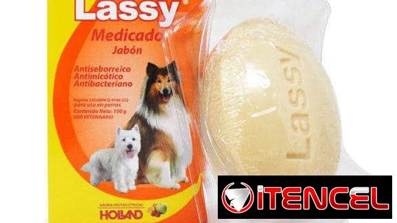 Jabón Lassy