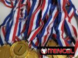 🚨 Paquete de 12 medallas de oro 🥇